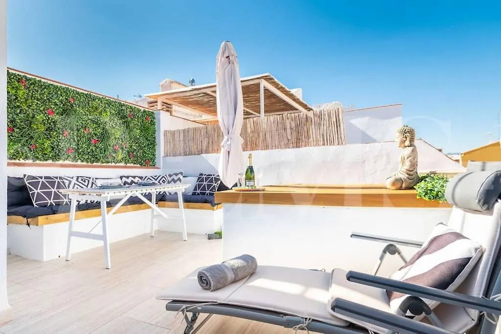 Apartment Penthouse With Private Rooftop - Center By Rems Malaga Spain